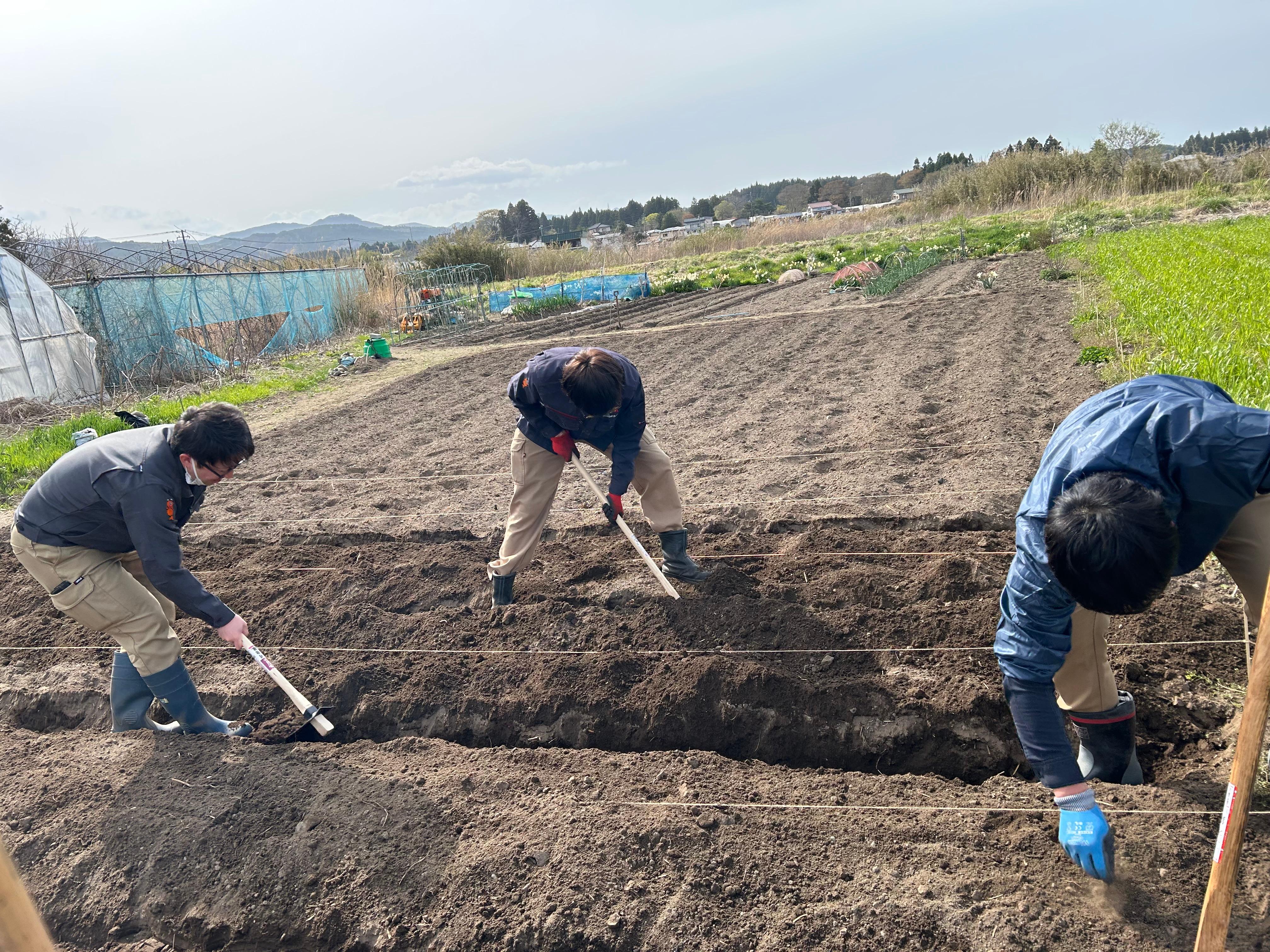 20260423　圃場整地畝づくり②